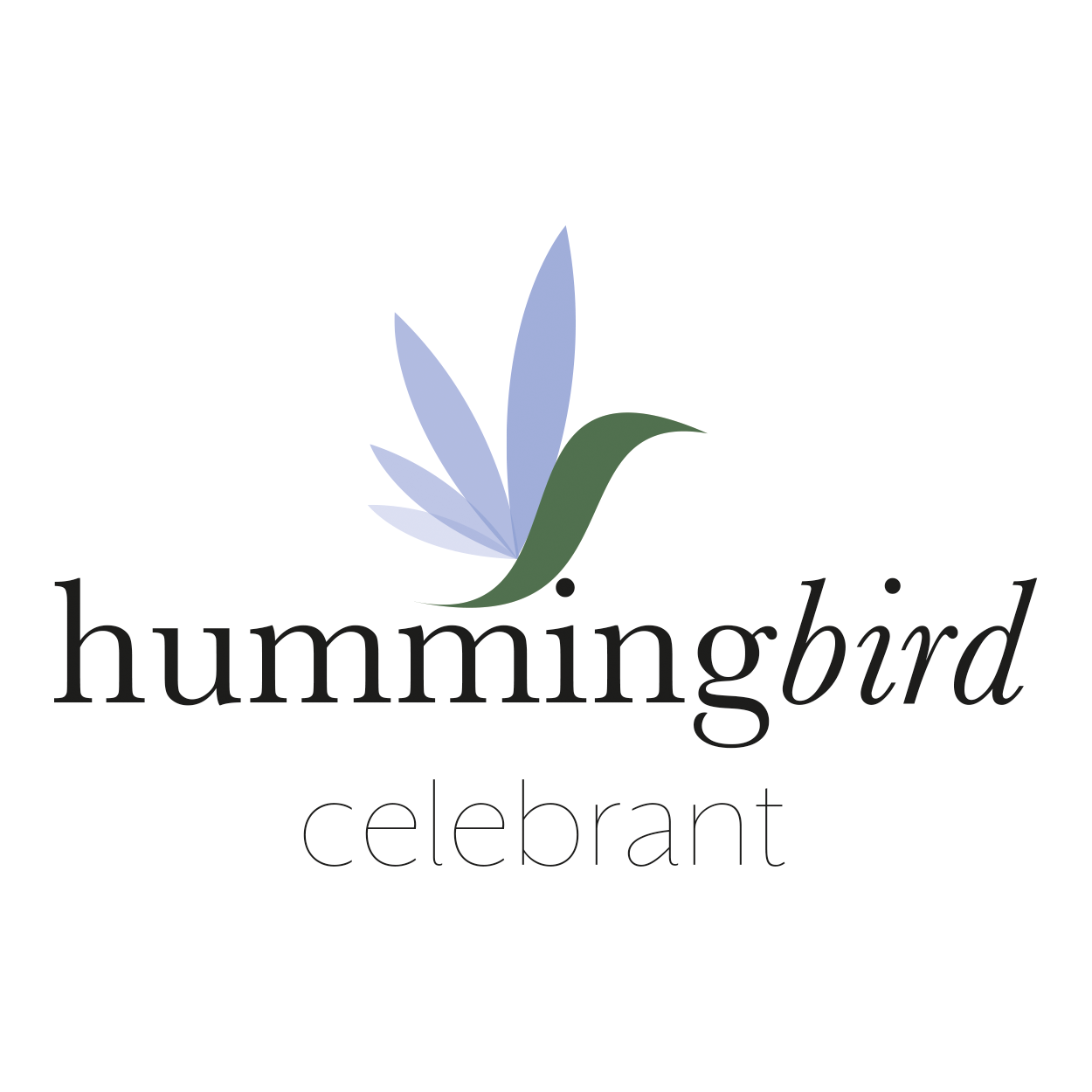 Hummingbird logo deign